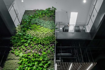 Boyle Summers Ocean Infinity Green Wall