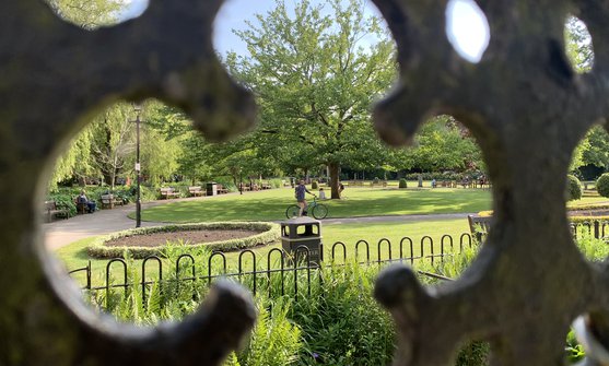 19101 Winchester Vision Img 0298