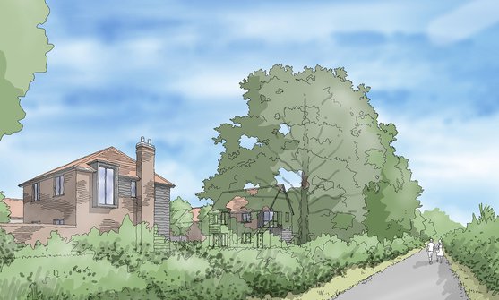 23125 Eye Level View Websize