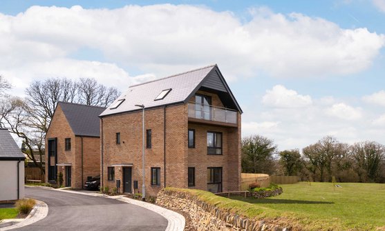 Boyle Summers Meadowbrook