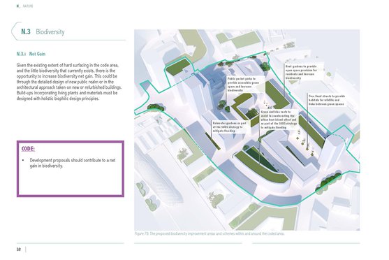 21035 0201 Design Code Pilot Biodiversity 1052 X 744